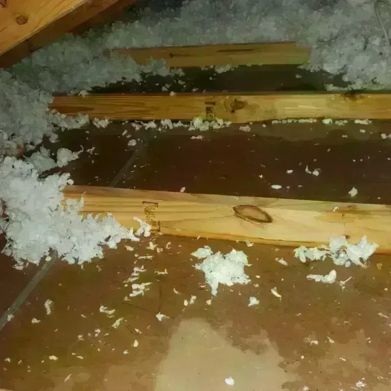 Attic Water Damage in Fennimore, WI